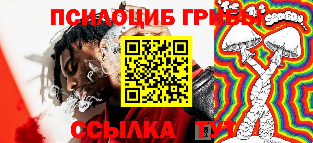 Псилоцибиновые грибы мицелий Октябрьский